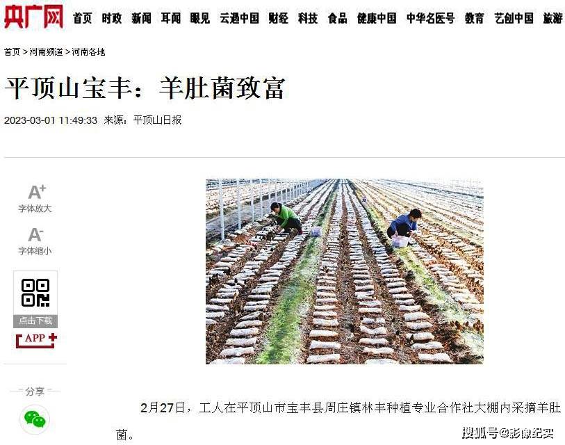 搜苹果客户版端
:宝丰珍稀菌发展势头强劲 国家省市级媒体竞相报道-第2张图片-太平洋在线下载