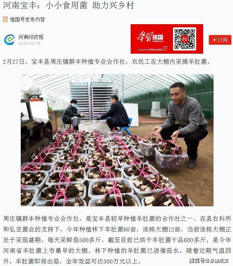 搜苹果客户版端
:宝丰珍稀菌发展势头强劲 国家省市级媒体竞相报道-第6张图片-太平洋在线下载