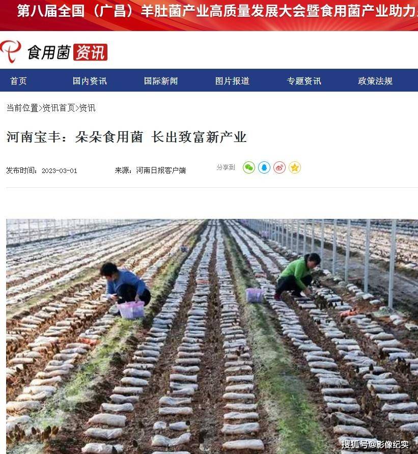 搜苹果客户版端
:宝丰珍稀菌发展势头强劲 国家省市级媒体竞相报道-第7张图片-太平洋在线下载