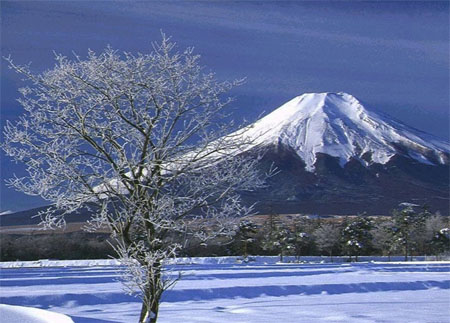 富士山聚合苹果版富士山聚合魔盒平台-第1张图片-太平洋在线下载