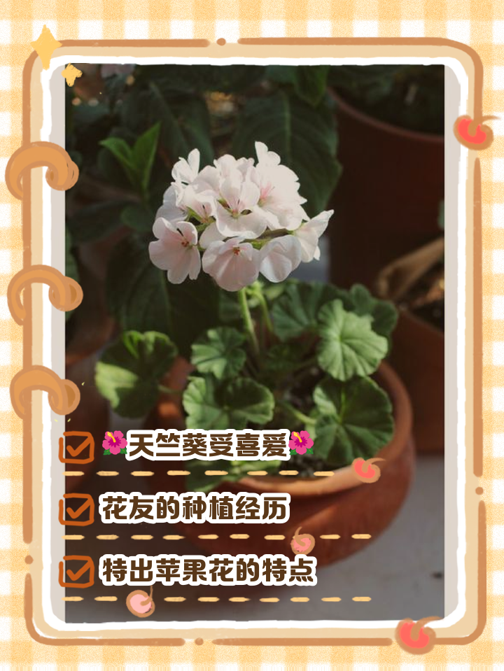 易开花苹果版易开花app下载苹果